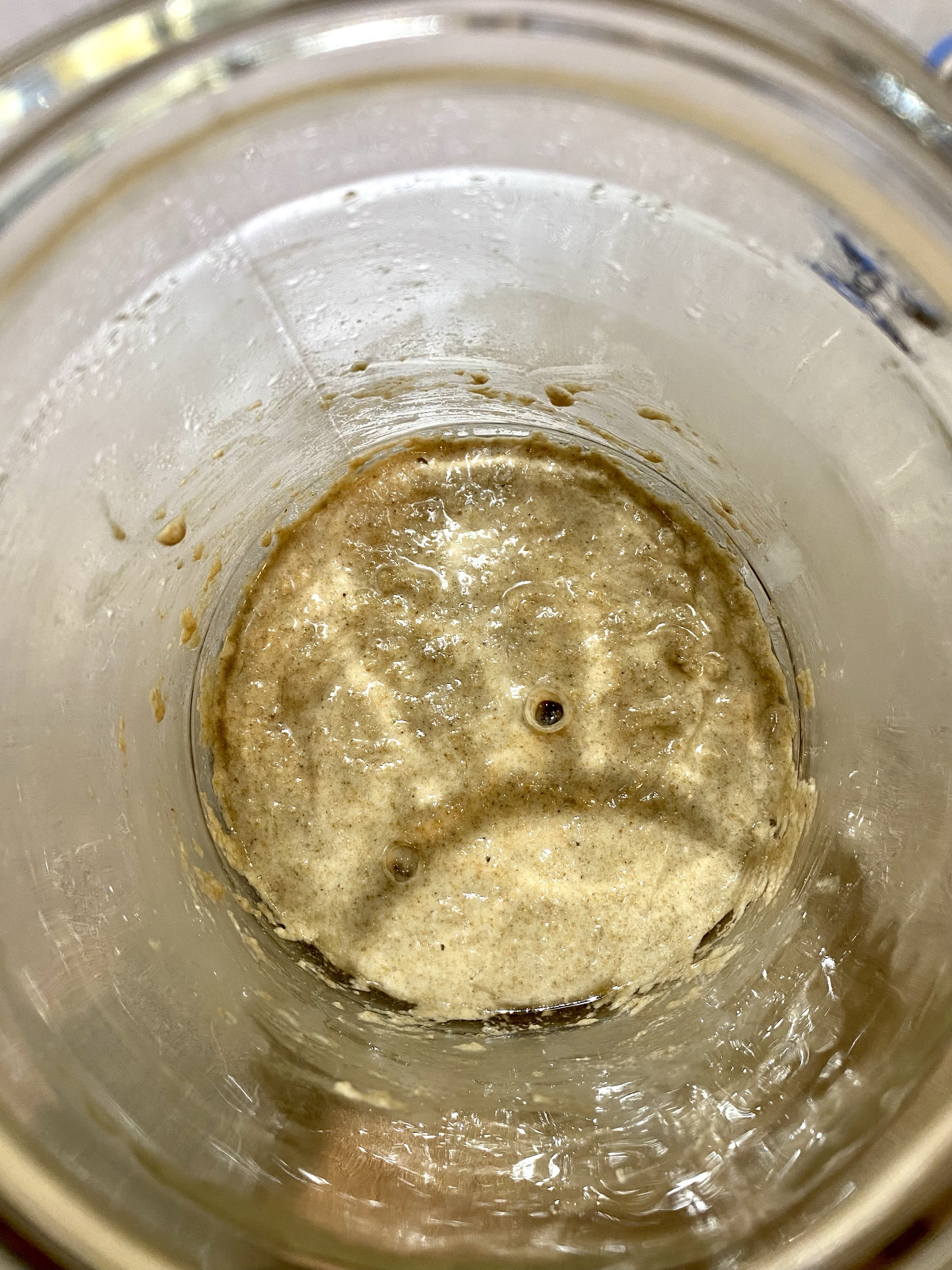 SOURDOUGH STARTER DAY 2 SOURDOUGH STARTER DAY 2