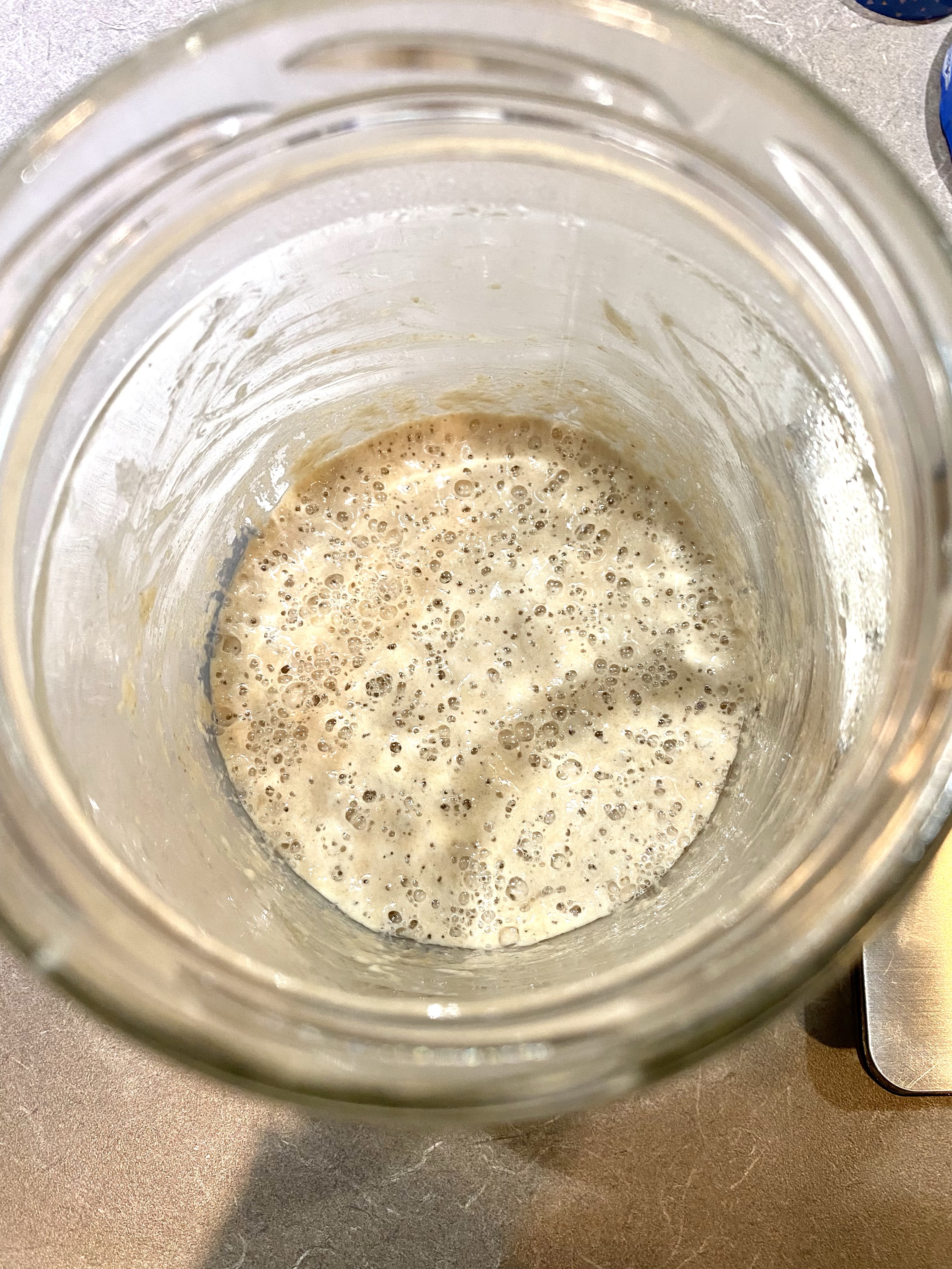 SOURDOUGH STARTER DAY 3 SOURDOUGH STARTER DAY 3