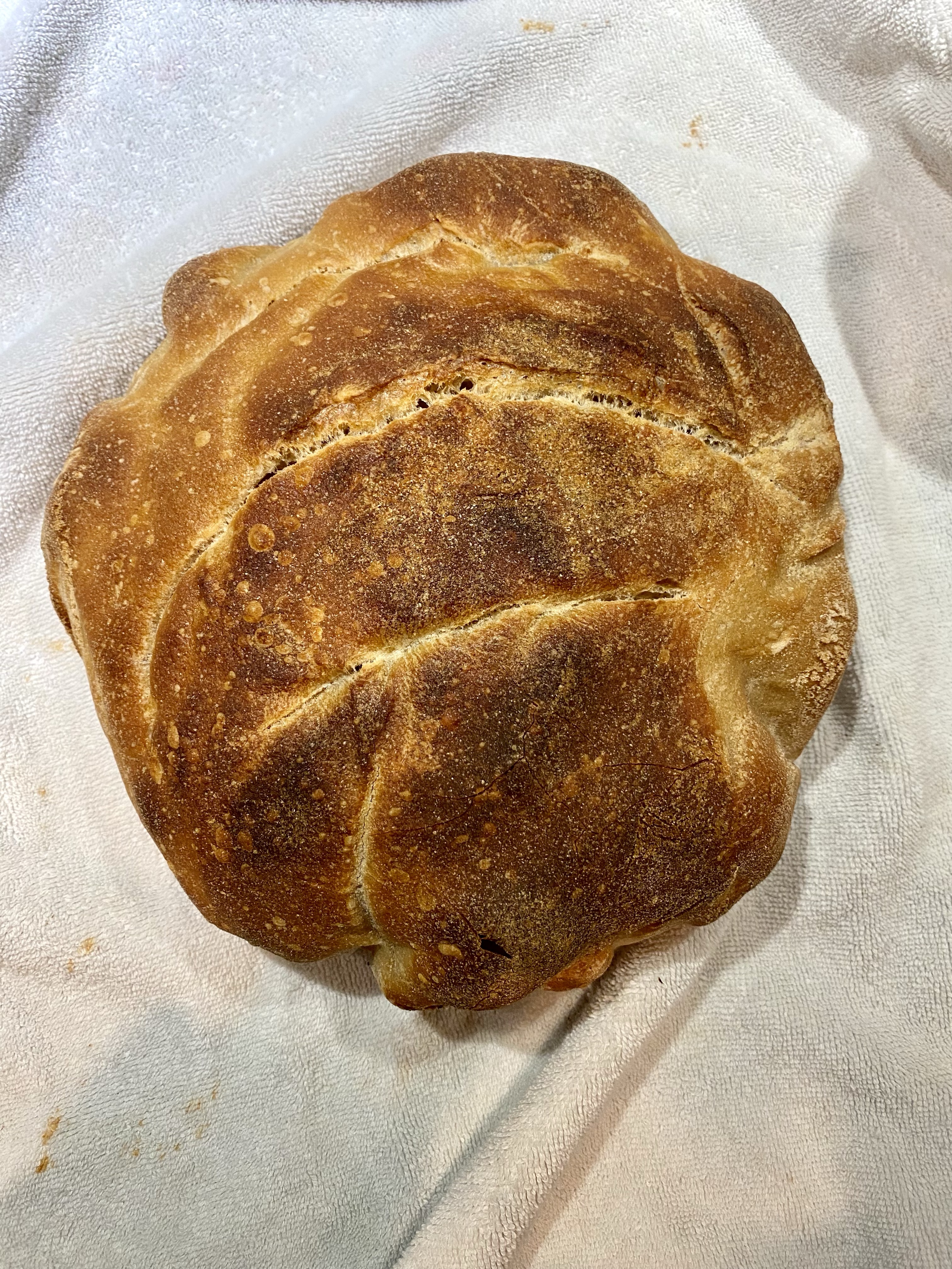 SOURDOUGH BREAD SOURDOUGH BREAD